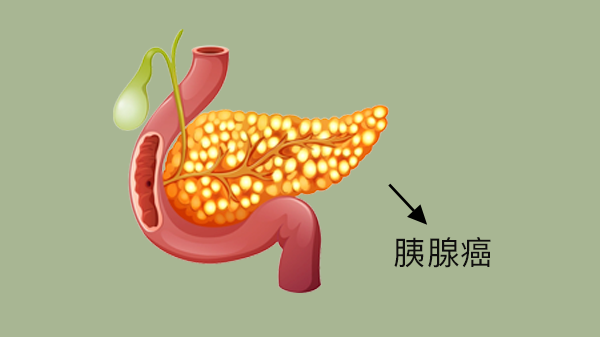 0型血和ab型血生的孩子是什么血型?(图1)