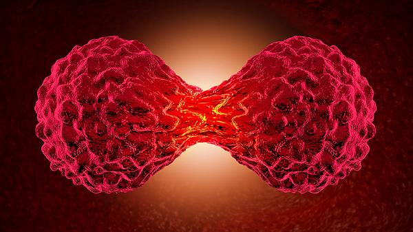 肿瘤坏死因子测定是查什么的(图1)