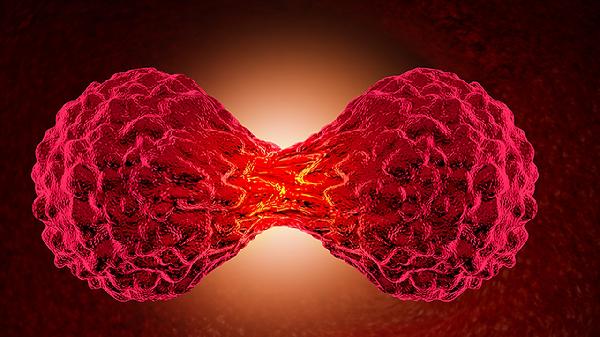 肿瘤坏死因子测定是查什么的(图3)