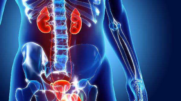 肾上腺素是什么,有什么用?(图1) 肾上腺素是什么,有什么用?(图1)