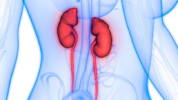 肾上腺素是什么,有什么用?(图3) 肾上腺素是什么,有什么用?(图3)