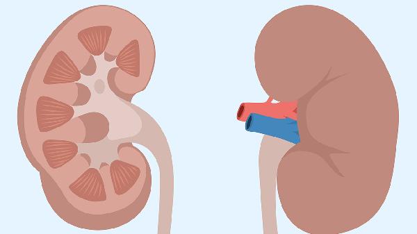 慢性肾小球肾炎的治疗方法(图1)
