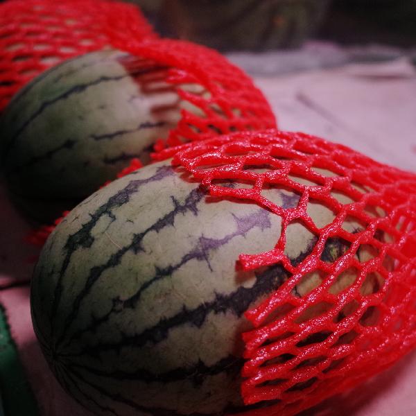 糖耐前一天吃了西瓜会影响结果吗(图2)