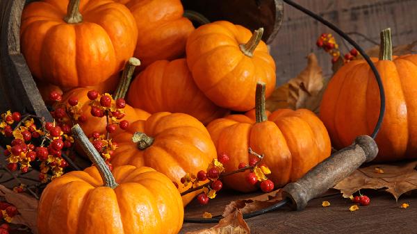 血糖高的饮食注意事项有哪些(图3) 血糖高的饮食注意事项有哪些(图3)