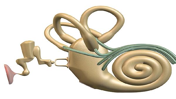 左耳前面神经一阵阵疼是怎么回事(图1)
