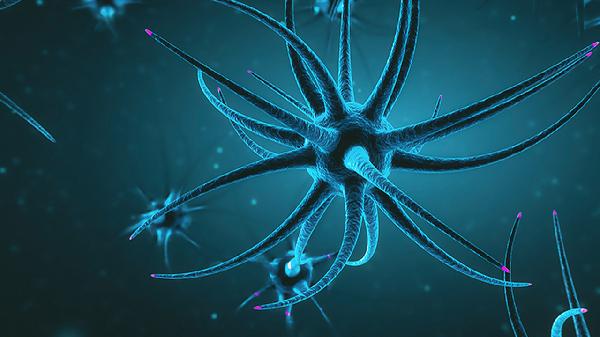 左耳前面神经一阵阵疼是怎么回事(图3)