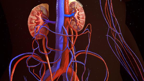 慢性肾小球肾炎饮食吃什么(图2) 慢性肾小球肾炎饮食吃什么(图2)