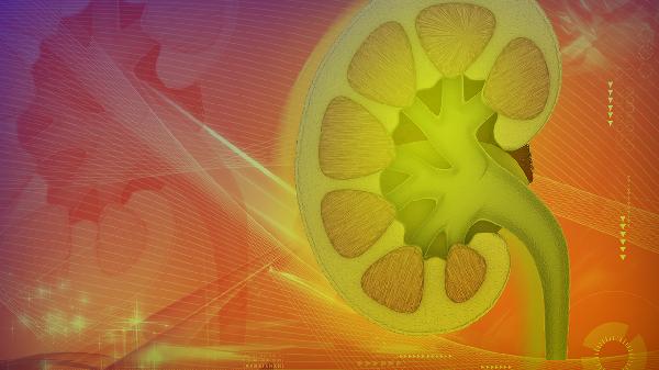 慢性肾小球肾炎饮食吃什么(图3) 慢性肾小球肾炎饮食吃什么(图3)