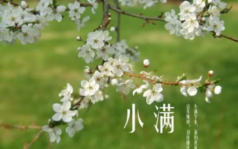 小满吃什么好 吃这5宝一夏没烦恼