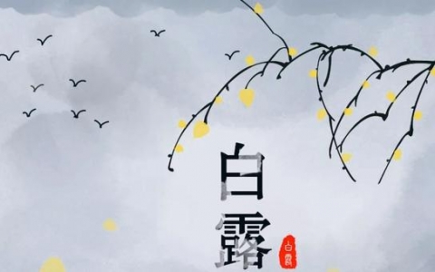 白露节气需要注意什么 白露节气的养生方法有什么