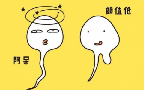 男人精子畸形是为什么？