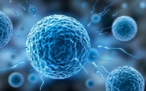 精子活力低是不是性欲不好