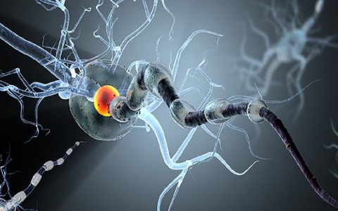 58病毒阳性是什么病