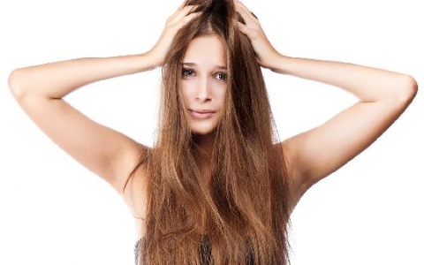 脱发吃什么食物好