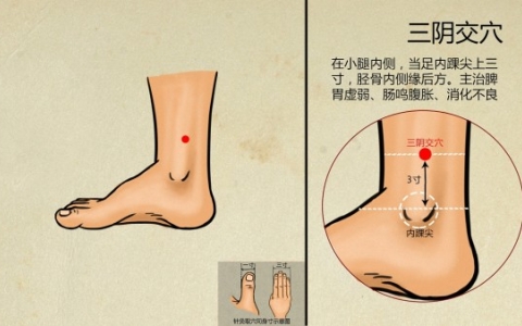 有效治疗脱发中医方法大全