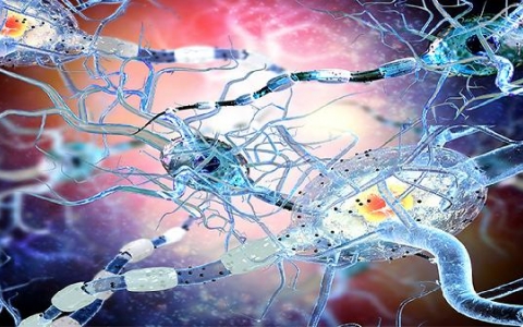 剑突病变不等于肿瘤！如何通过简单方法化解不适？