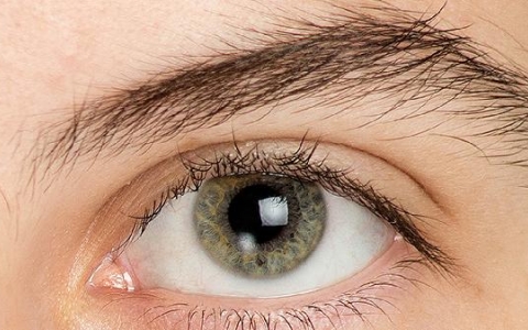 出生半个月还没有睁眼睛