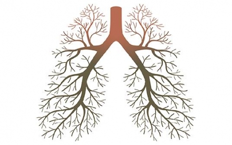 肺部7cm肿瘤算大吗