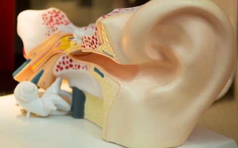 耳朵一直流黄水怎么办