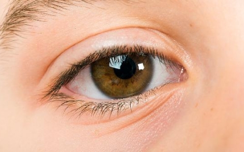 左眼睛有充血是什么原因