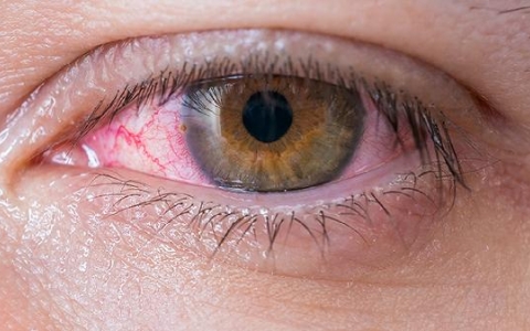 俩只眼睛不能同时注视目标