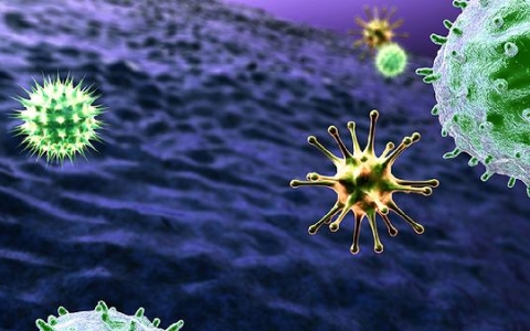 肌肤问题有哪些？