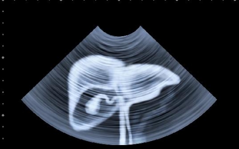 为什么早生华发？