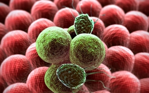 三期梅毒有什么特点?三期梅毒的常见症状