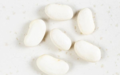 外阴长了豆粒的包怎么回事