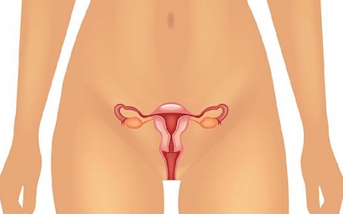 一个人可以打几次hpv