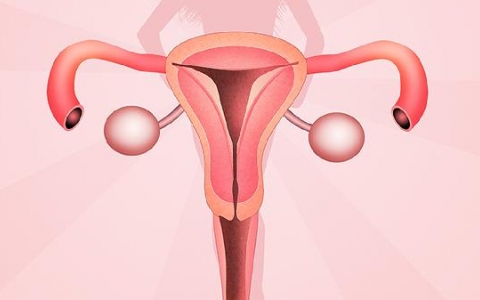 阴道口处这个尖尖的是什么