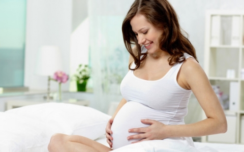 男性暴食会降低生育能力