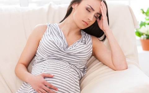 陪八戒看病（1月29日）