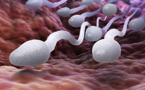 精子都是畸形的能治好吗