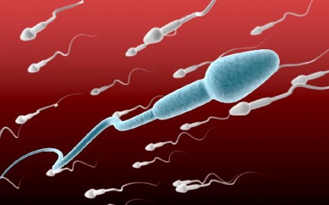 畸形精子是一出生就有吗