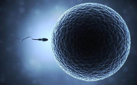 畸形精子少许跟少有什么不同