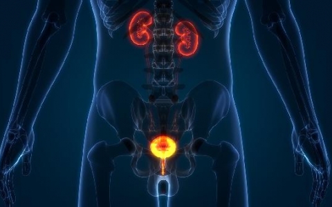 经常血精是怎么回事