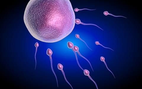 精子出现这三种情况说明有问题 男性如何提高精子质量