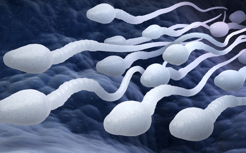 久坐会影响精子的发育吗？日常伤精的三个坏习惯 