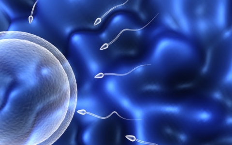 为什么精子活力这么差？帮你分析了这6个原因 