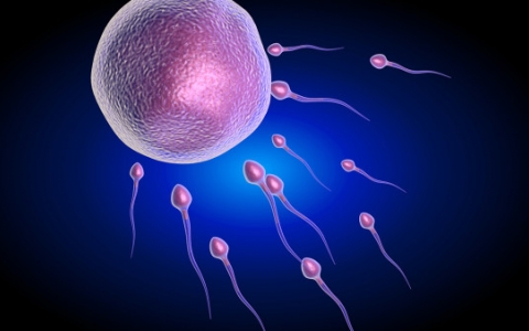 不孕不育如何恢复？