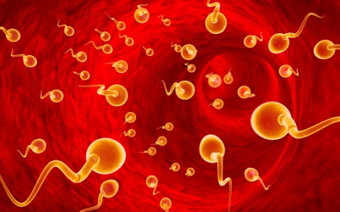 前列腺喜欢在春天惹麻烦