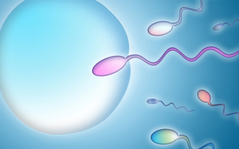 男人喜欢烟酒会影响怀孕