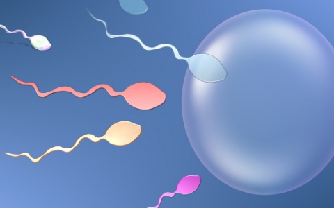 精液精子异常不育有哪些症状？