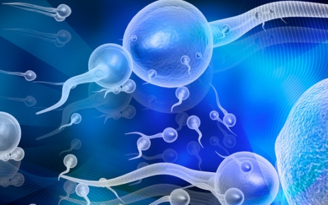 酗酒-降低男性性能力和生育能力