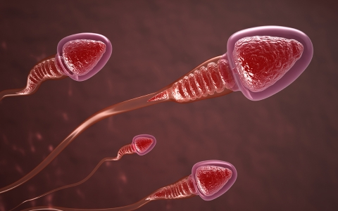 男性经常熬夜影响生育功能