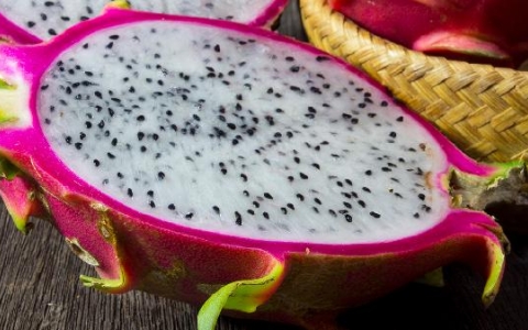 正常的蒙氏结节是什么样子？