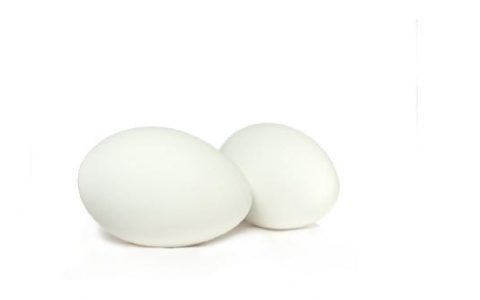 有结节可以吃鹅蛋吗？