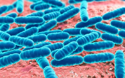 淋巴结节怎么消除