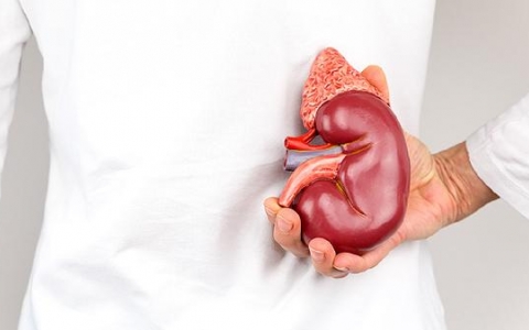 形成肾上腺结节的原因有哪些